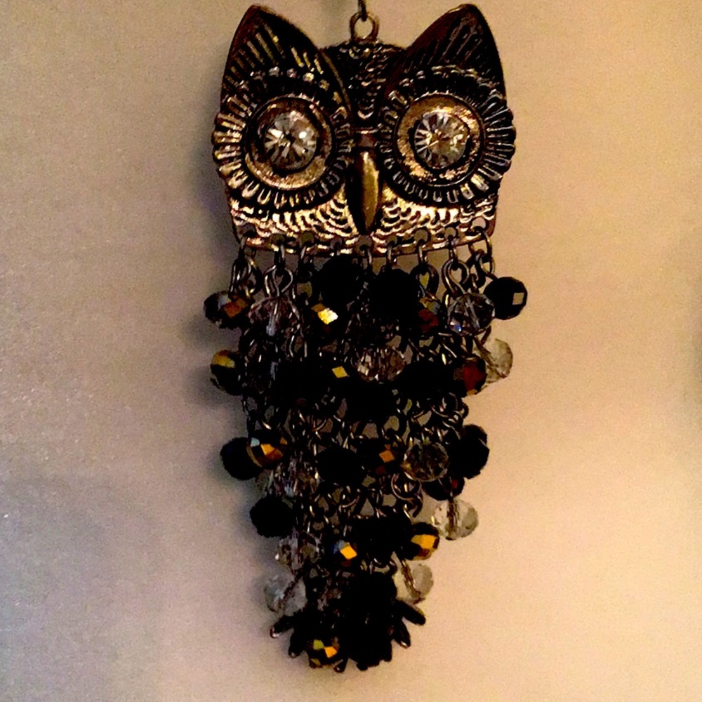 4 for $25. Beautiful Earth Tone Owl Necklace